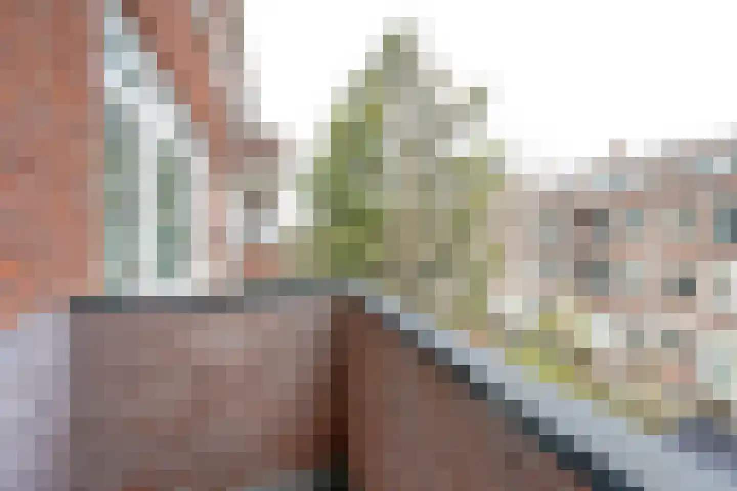 Pleinweg 105 C Rotterdam thumbnail 14