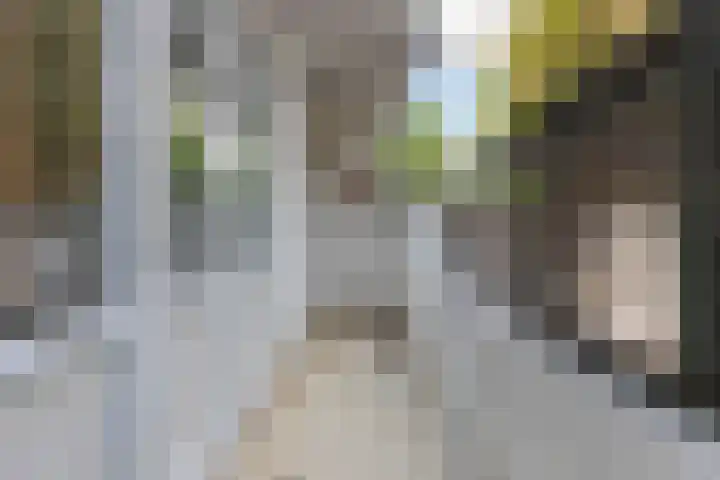 Pleinweg 111 C Rotterdam thumbnail 16