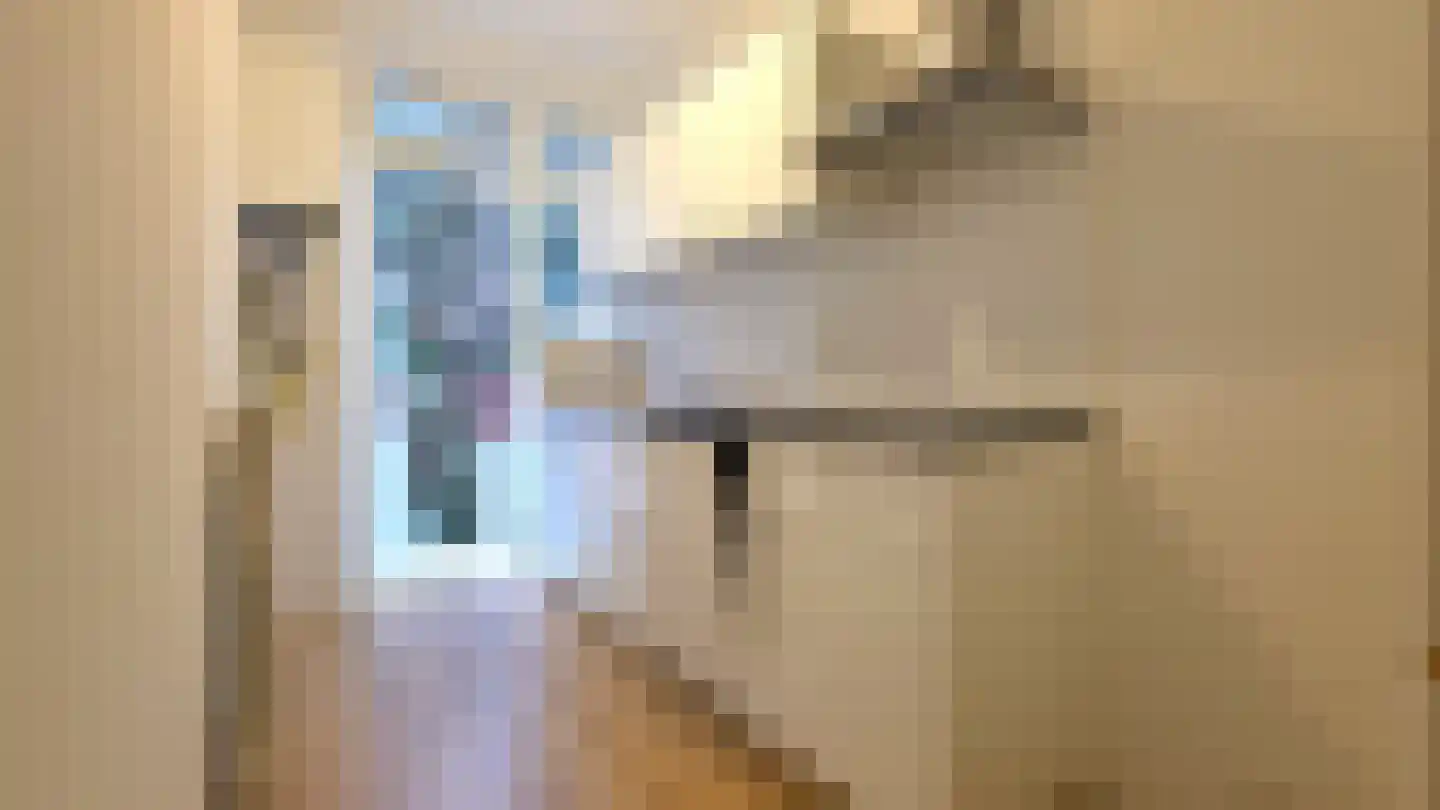 Pleinweg 113 D Rotterdam thumbnail 6