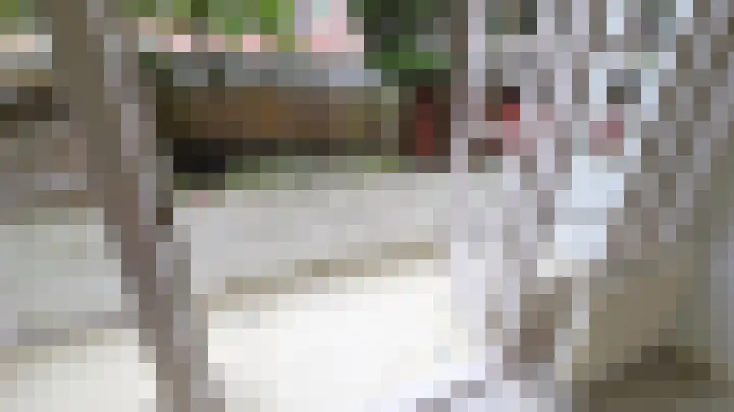 Pleinweg 113 D Rotterdam thumbnail 9
