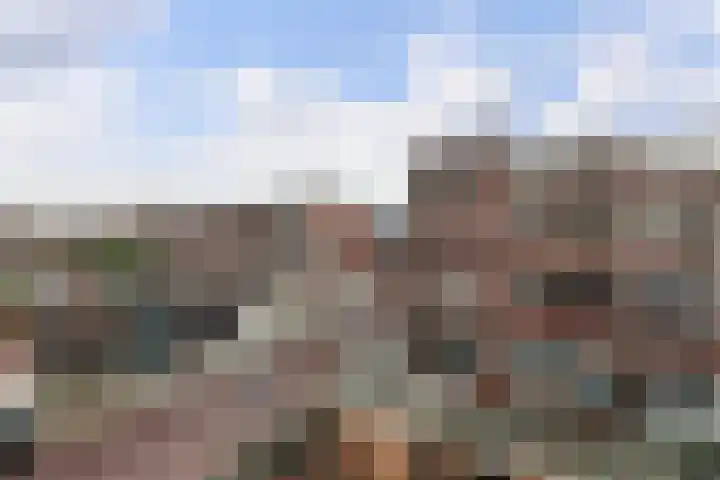 Pleinweg 123 D Rotterdam thumbnail 27