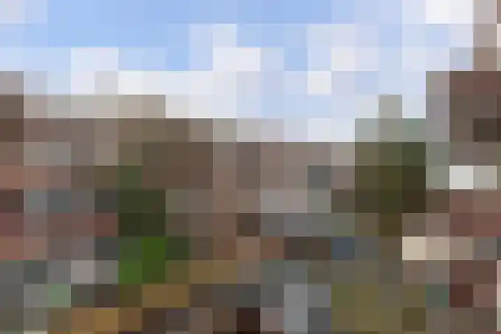 Pleinweg 123 D Rotterdam thumbnail 28