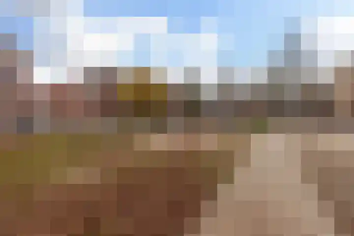 Pleinweg 123 D Rotterdam thumbnail 29