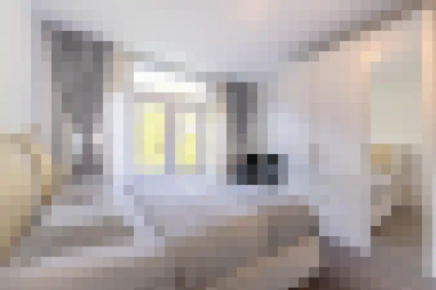 Pleinweg 124 A Rotterdam thumbnail 16