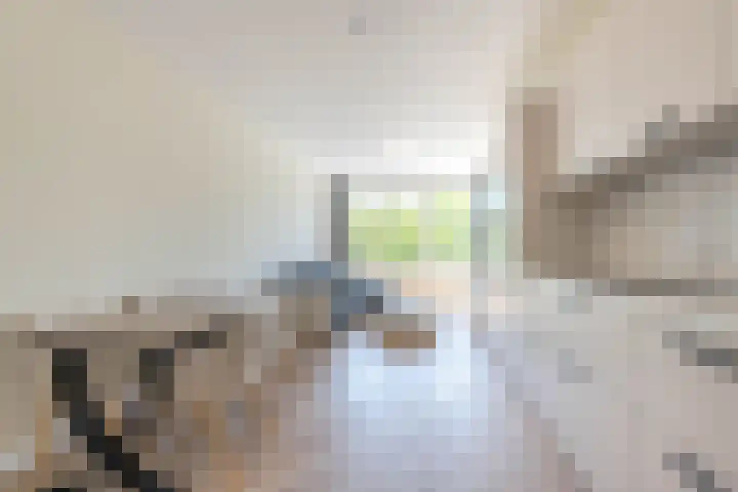 Pleinweg 125 C Rotterdam thumbnail 10
