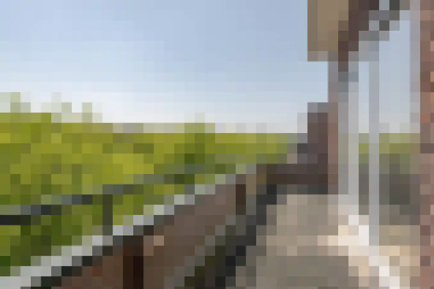 Pleinweg 125 C Rotterdam thumbnail 35