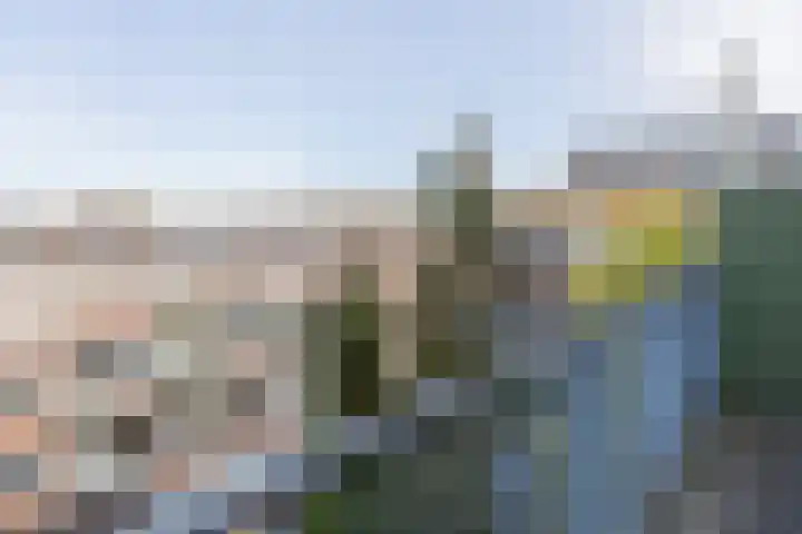 Pleinweg 13 C Rotterdam thumbnail 12