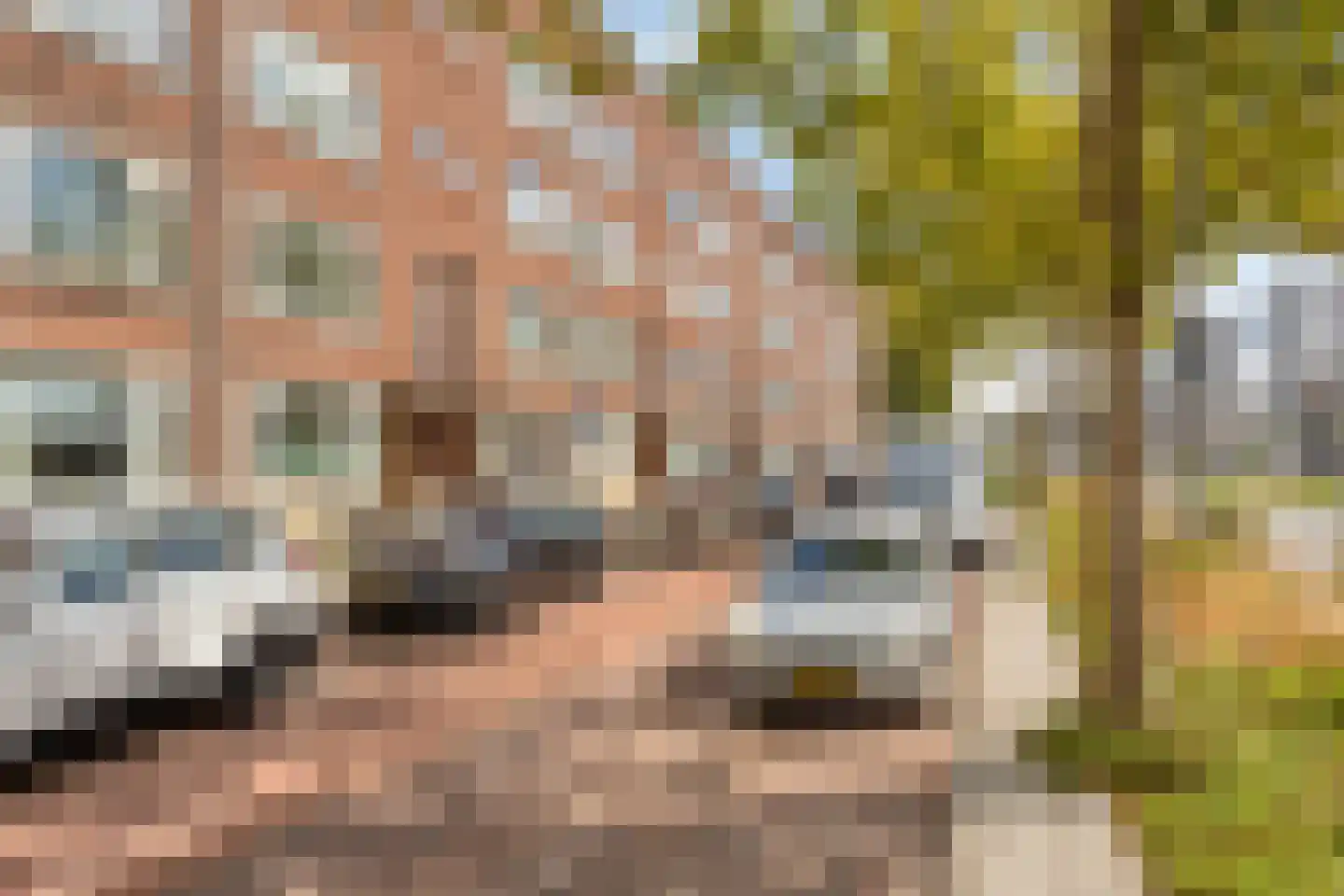 Pleinweg 13 D Rotterdam thumbnail 20