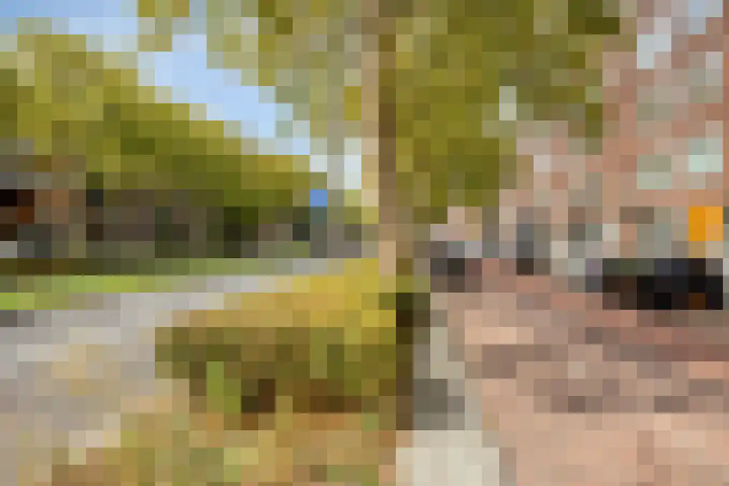 Pleinweg 13 D Rotterdam thumbnail 21