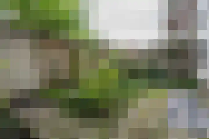 Pleinweg 145 D Rotterdam thumbnail 17