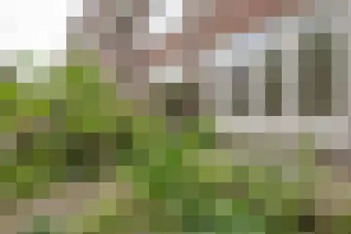 Pleinweg 145 D Rotterdam thumbnail 19