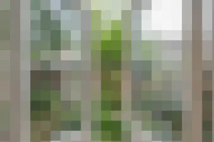 Pleinweg 145 D Rotterdam thumbnail 23