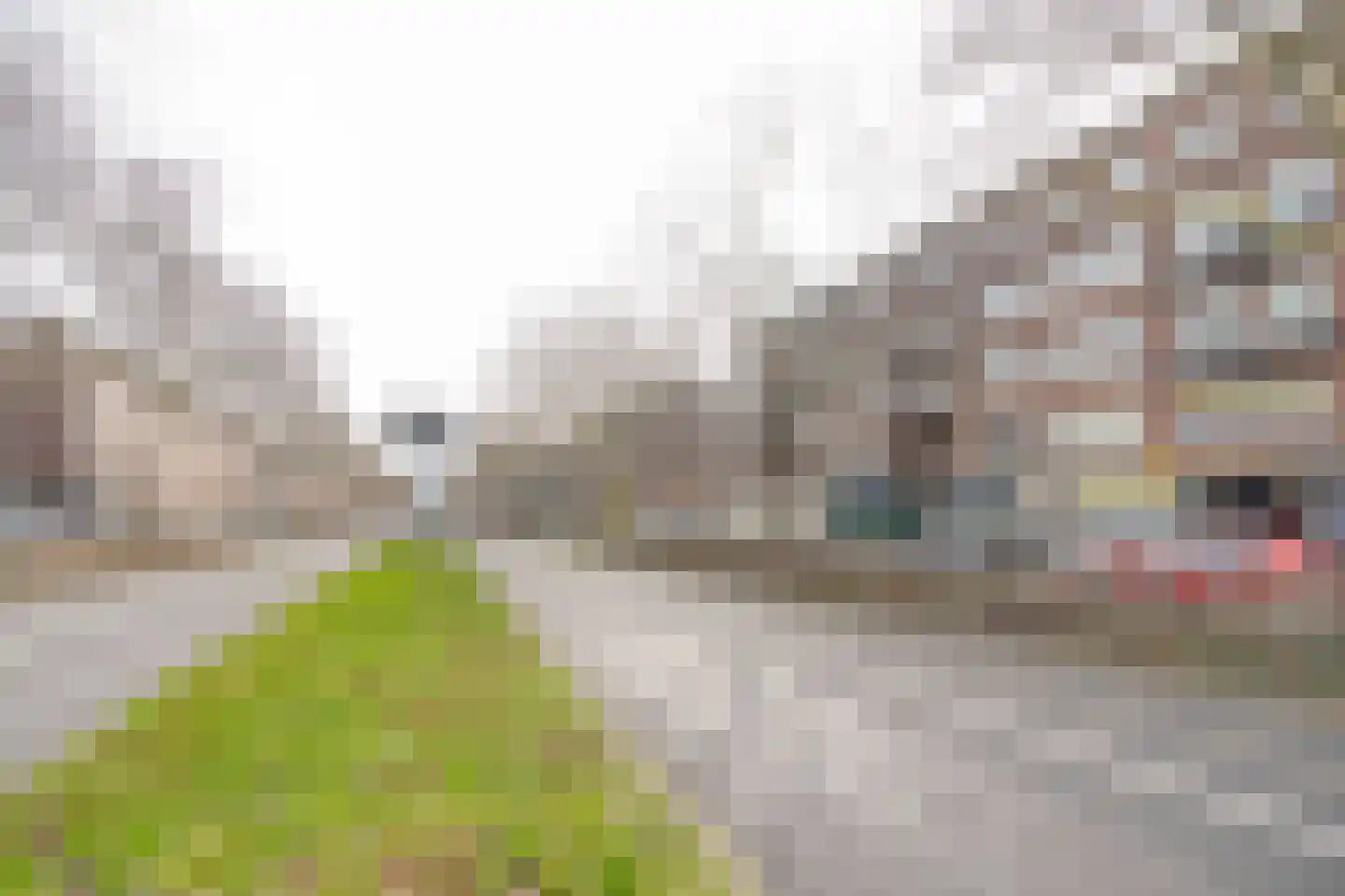 Pleinweg 146 A Rotterdam thumbnail 21