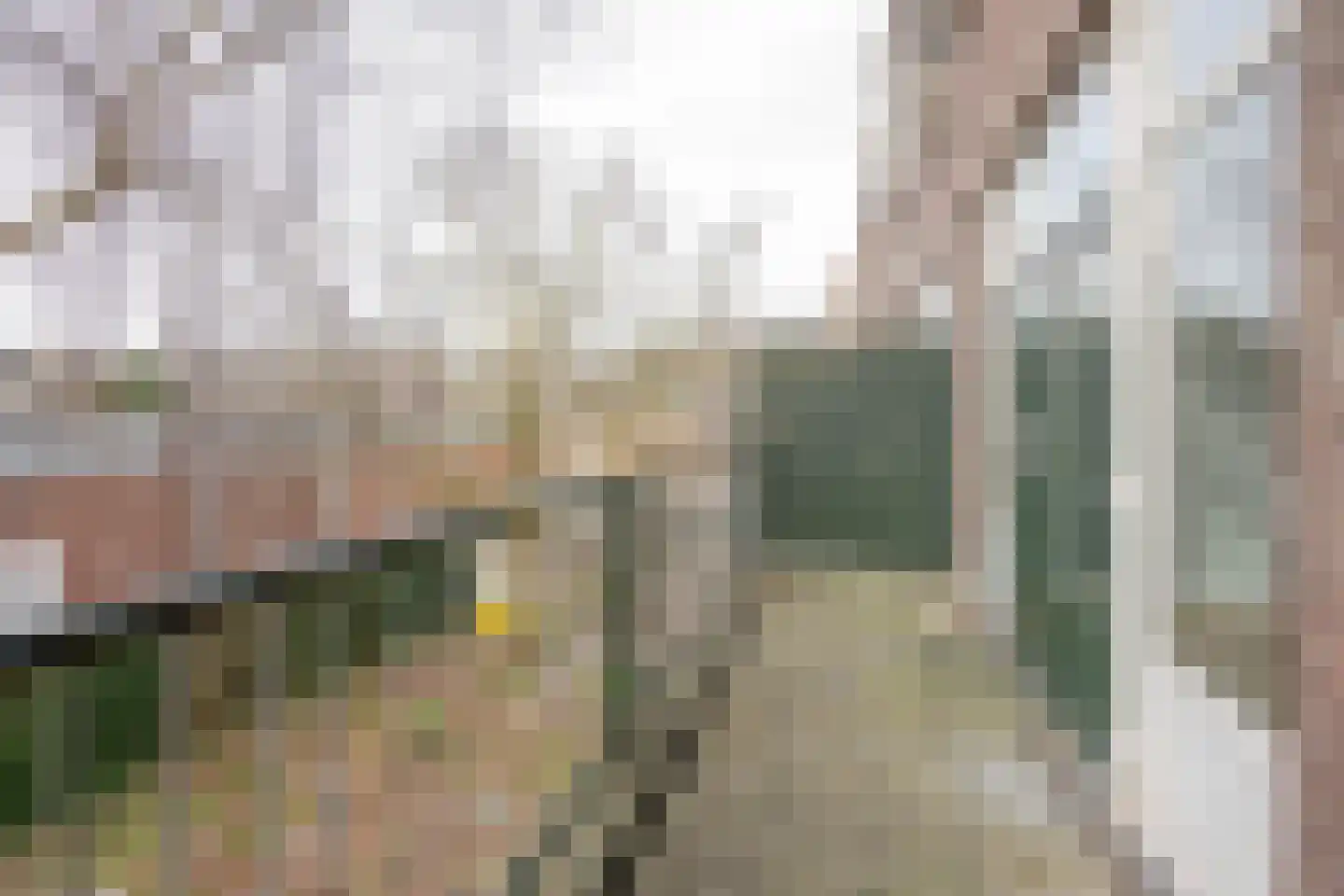 Pleinweg 146 A Rotterdam thumbnail 5