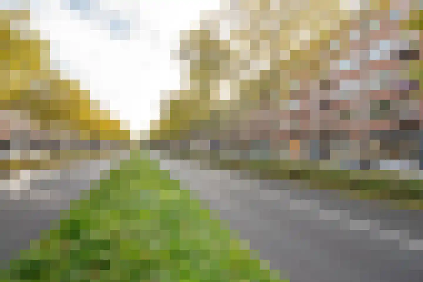 Pleinweg 162 D Rotterdam thumbnail 27