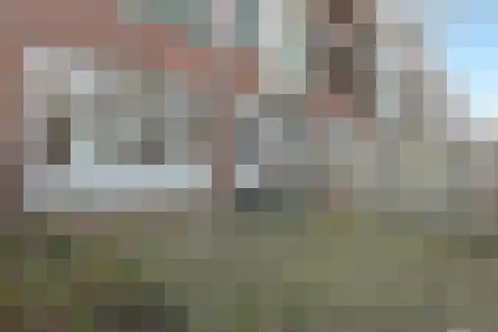 Pleinweg 17 D Rotterdam thumbnail 6