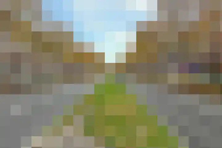 Pleinweg 170 C Rotterdam thumbnail 32
