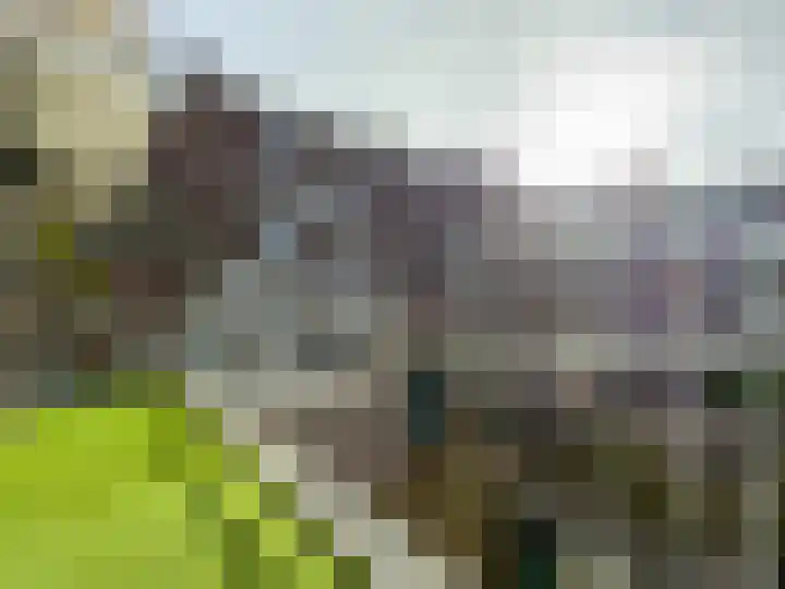 Pleinweg 18 A Rotterdam thumbnail 11