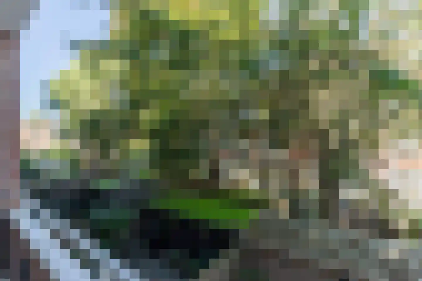 Pleinweg 19 B Rotterdam thumbnail 21