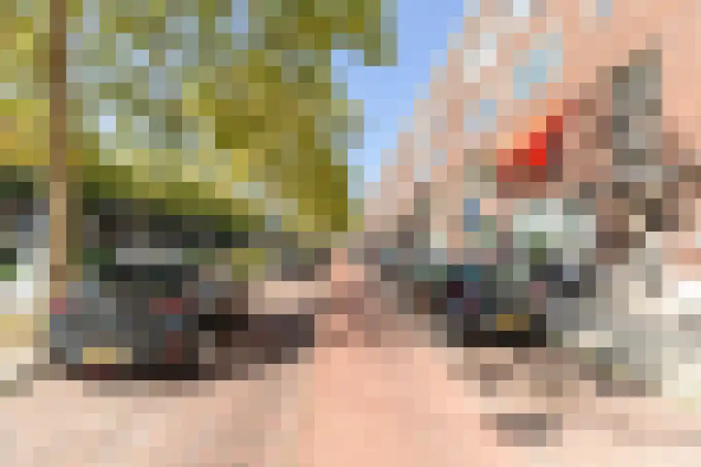 Pleinweg 19 B Rotterdam thumbnail 23