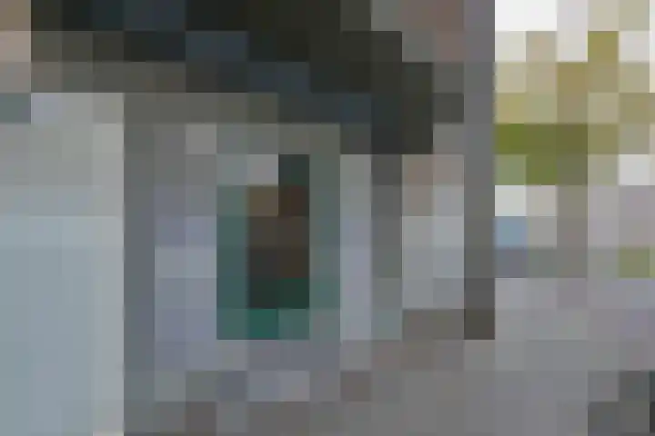 Pleinweg 198 C Rotterdam thumbnail 7