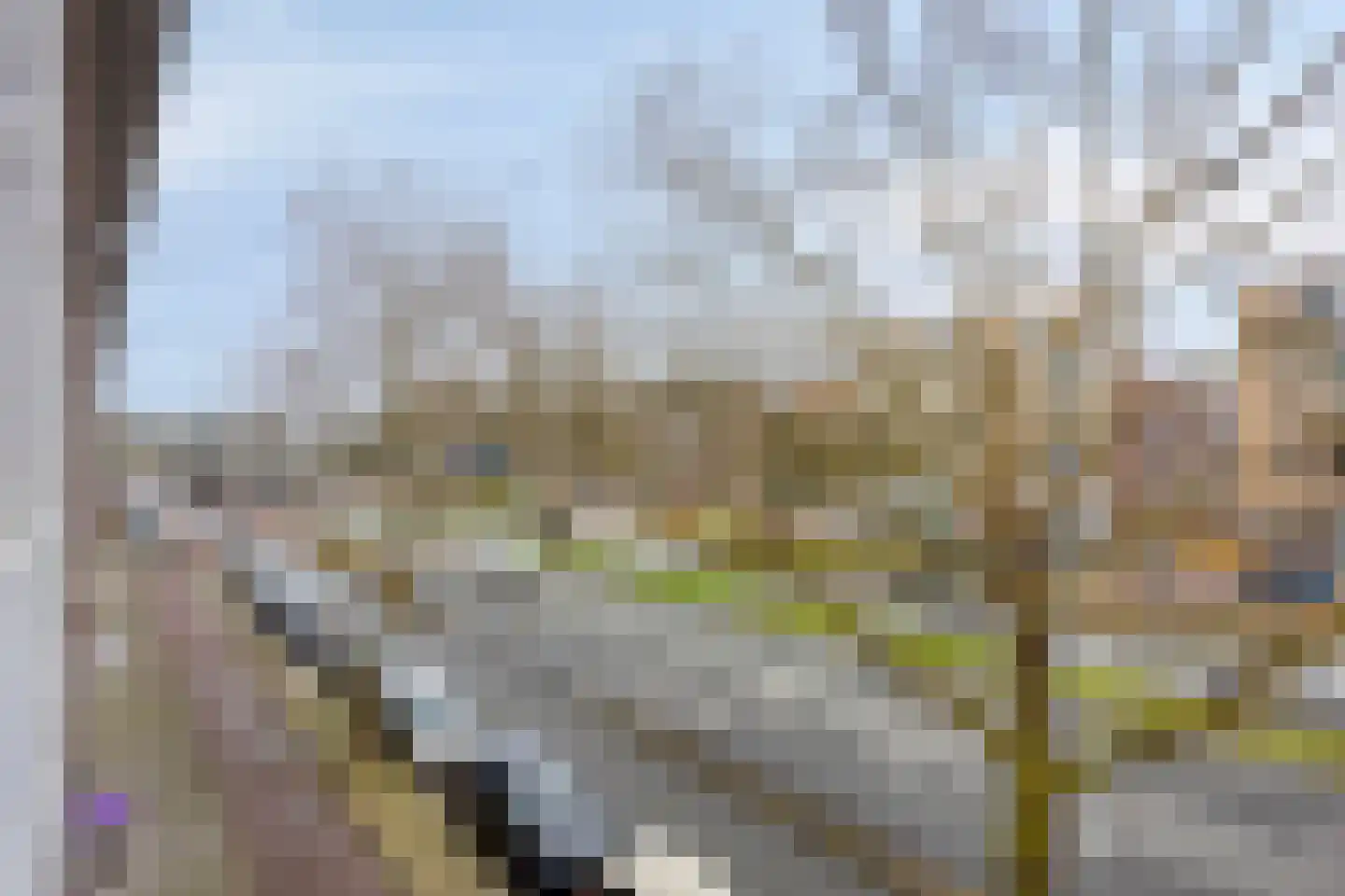 Pleinweg 204 B Rotterdam thumbnail 25
