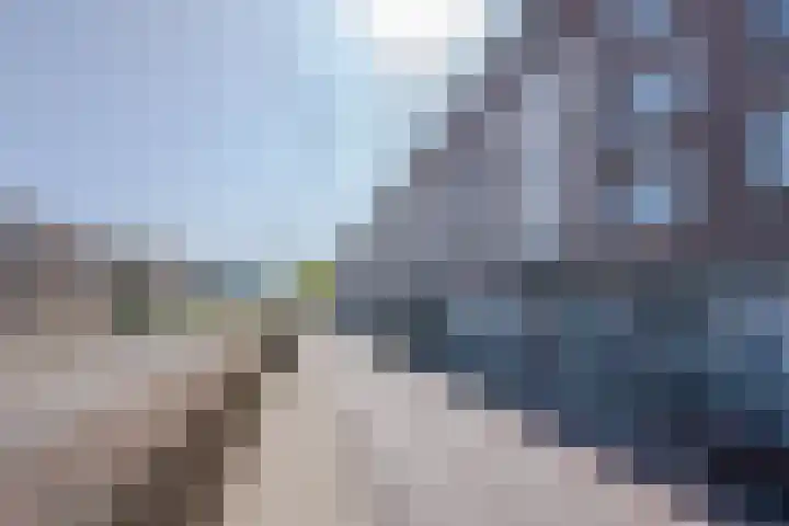 Pleinweg 230 B Rotterdam thumbnail 24