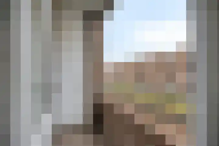 Pleinweg 236 B Rotterdam thumbnail 16