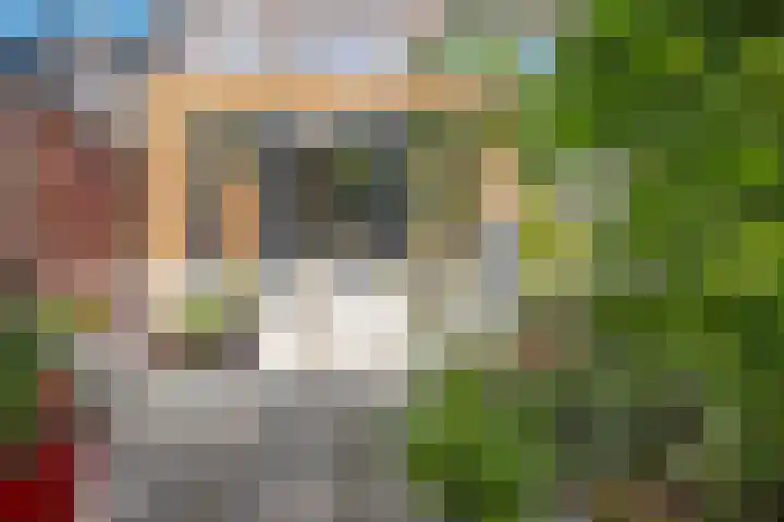 Pleinweg 24 B Rotterdam thumbnail 10