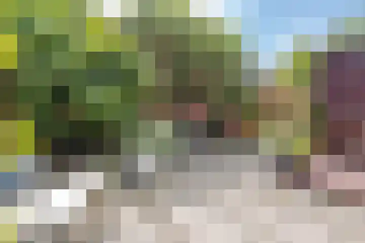 Pleinweg 24 B Rotterdam thumbnail 11