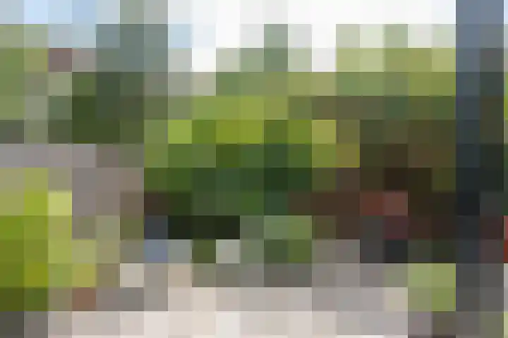 Pleinweg 24 B Rotterdam thumbnail 12