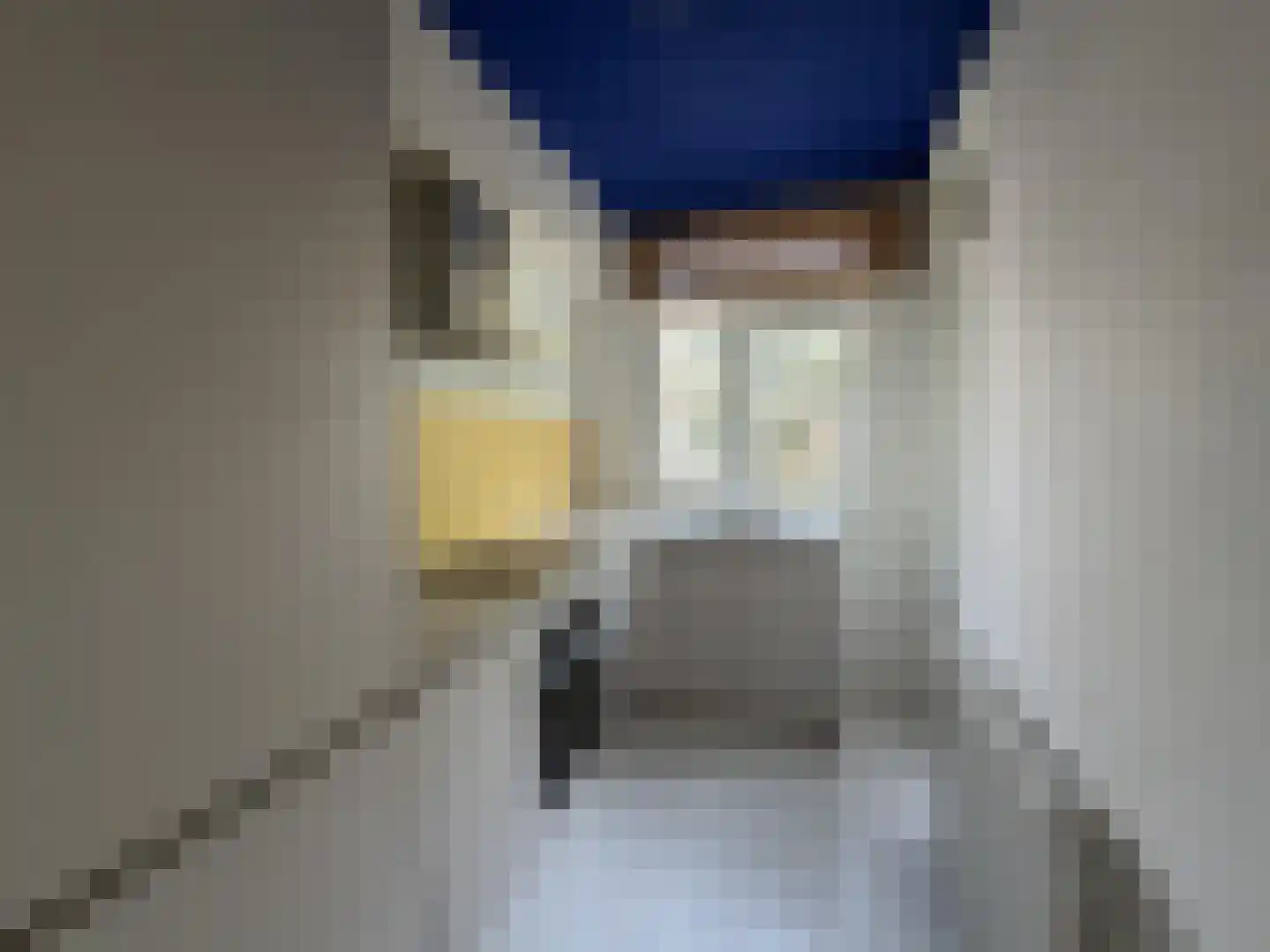 Pleinweg 29 D Rotterdam thumbnail 31