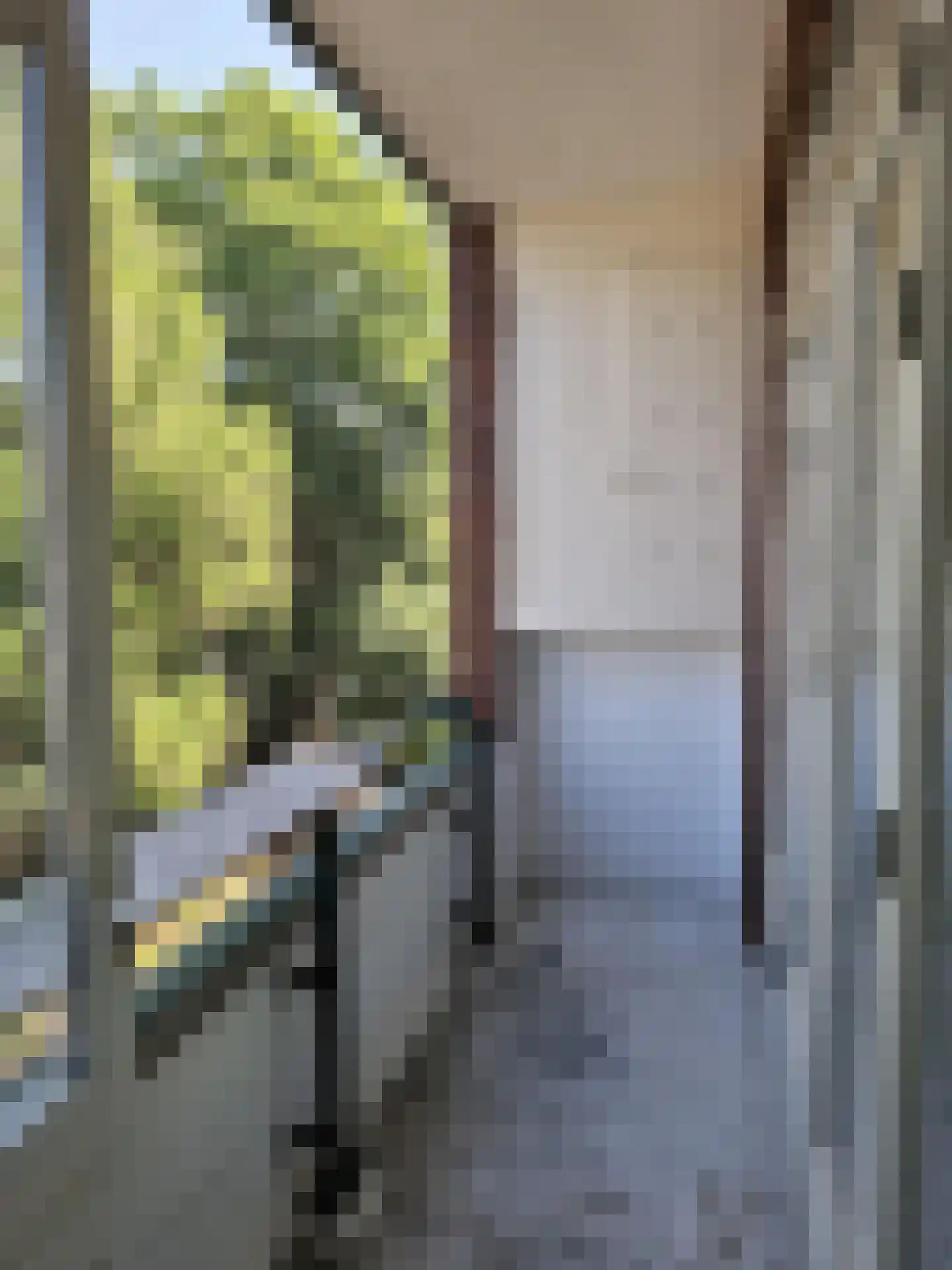 Pleinweg 29 D Rotterdam thumbnail 35