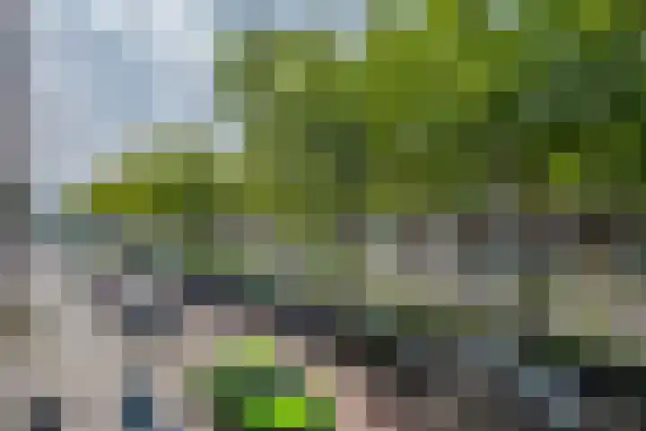 Pleinweg 31 D Rotterdam thumbnail 18