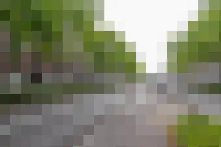 Pleinweg 31 D Rotterdam thumbnail 19