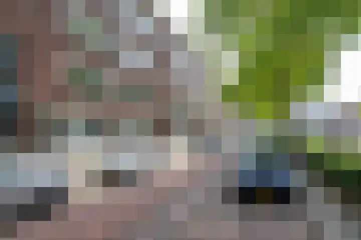 Pleinweg 31 D Rotterdam thumbnail 6