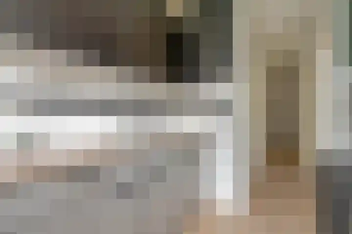Pleinweg 31 D Rotterdam thumbnail 9