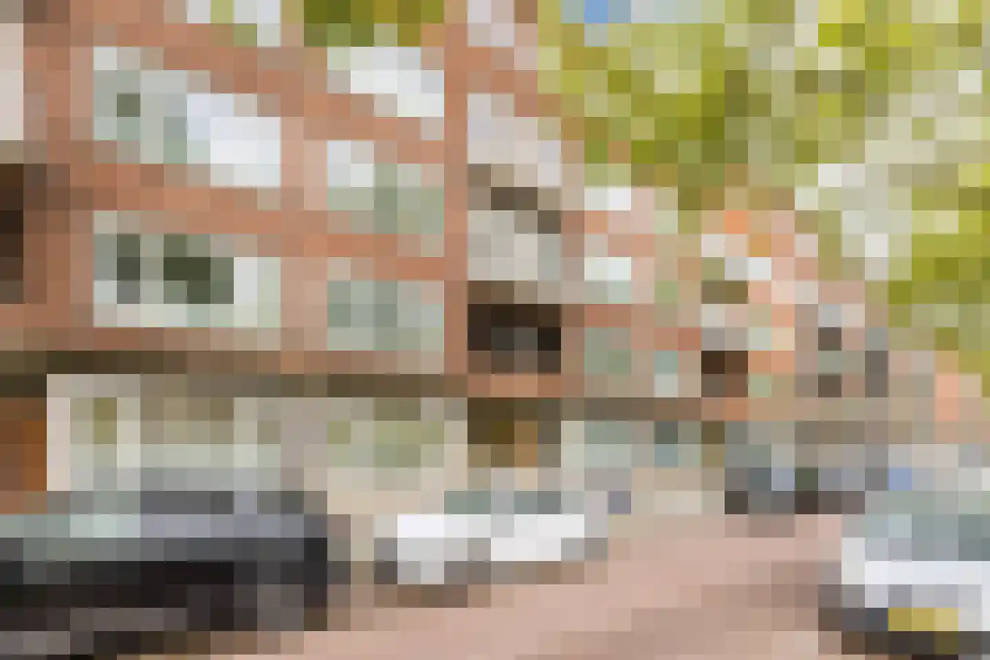 Pleinweg 44 C Rotterdam thumbnail 27