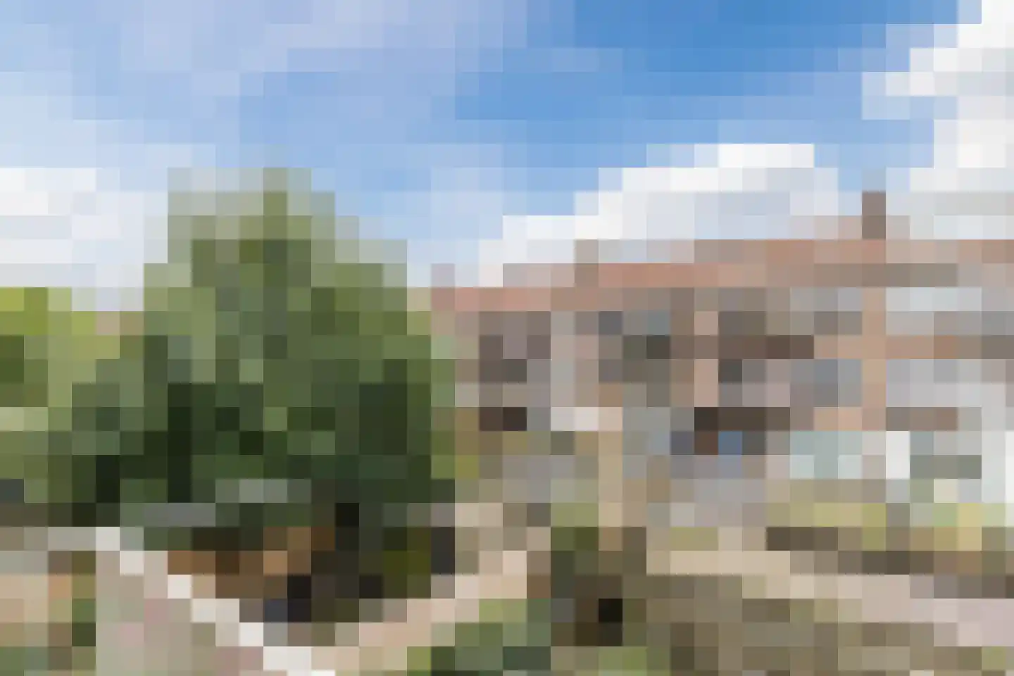 Pleinweg 44 C Rotterdam thumbnail 31