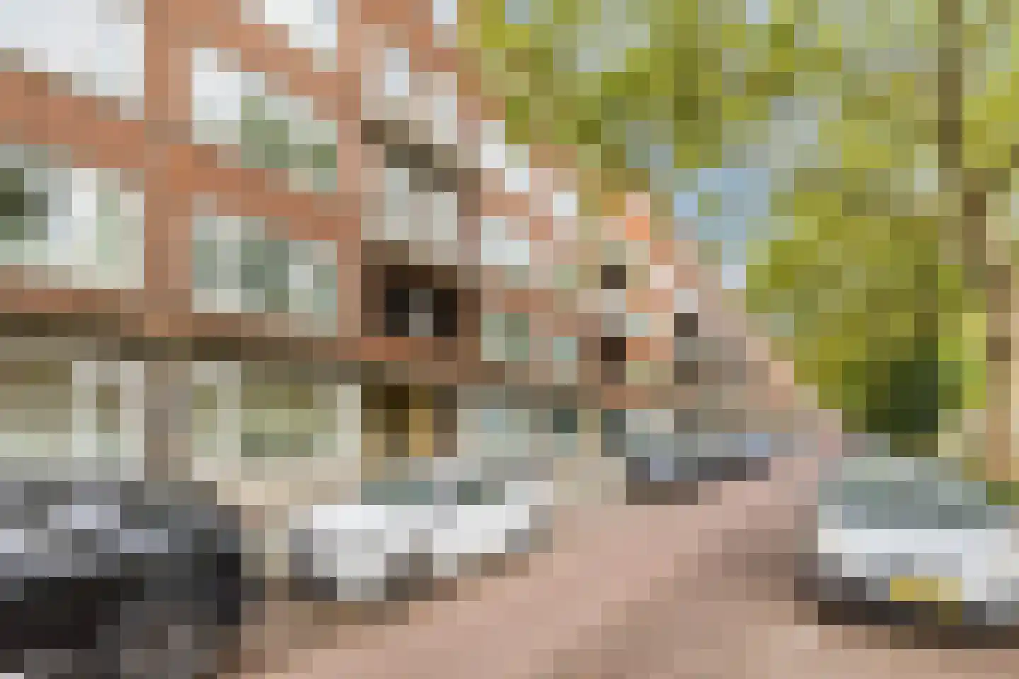 Pleinweg 44 C Rotterdam thumbnail 33