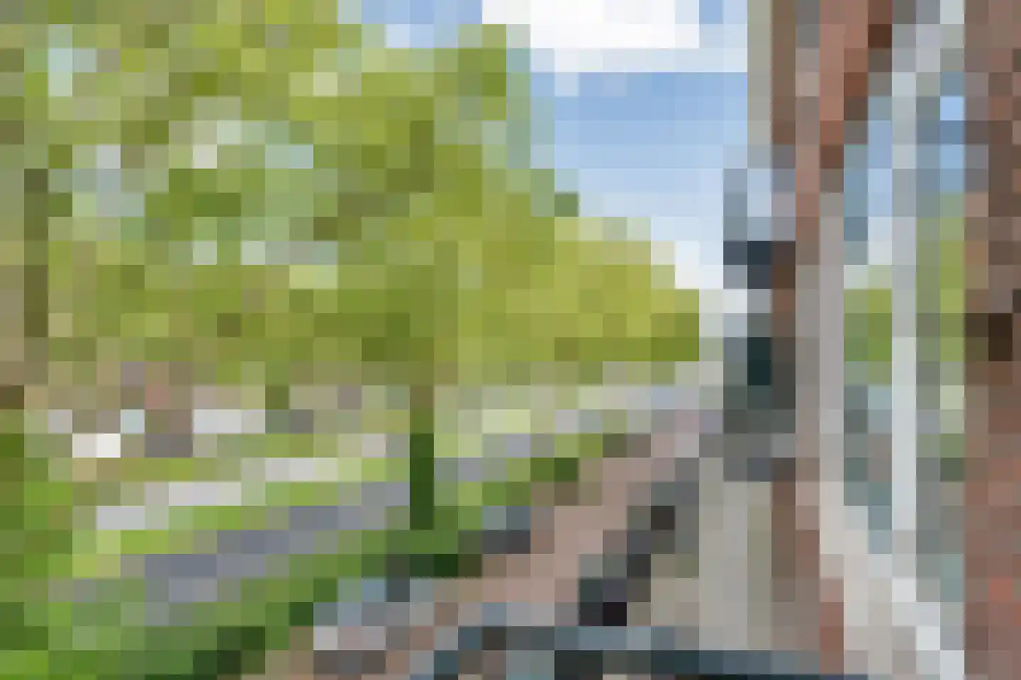 Pleinweg 56 C Rotterdam thumbnail 23