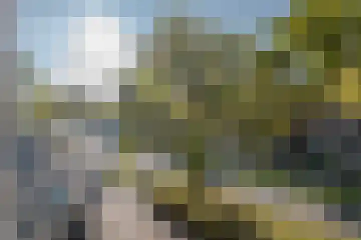 Pleinweg 61 C Rotterdam thumbnail 11