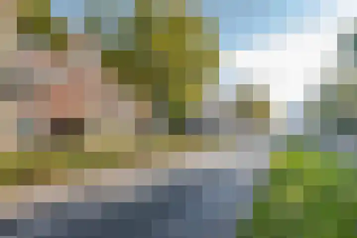 Pleinweg 61 C Rotterdam thumbnail 21
