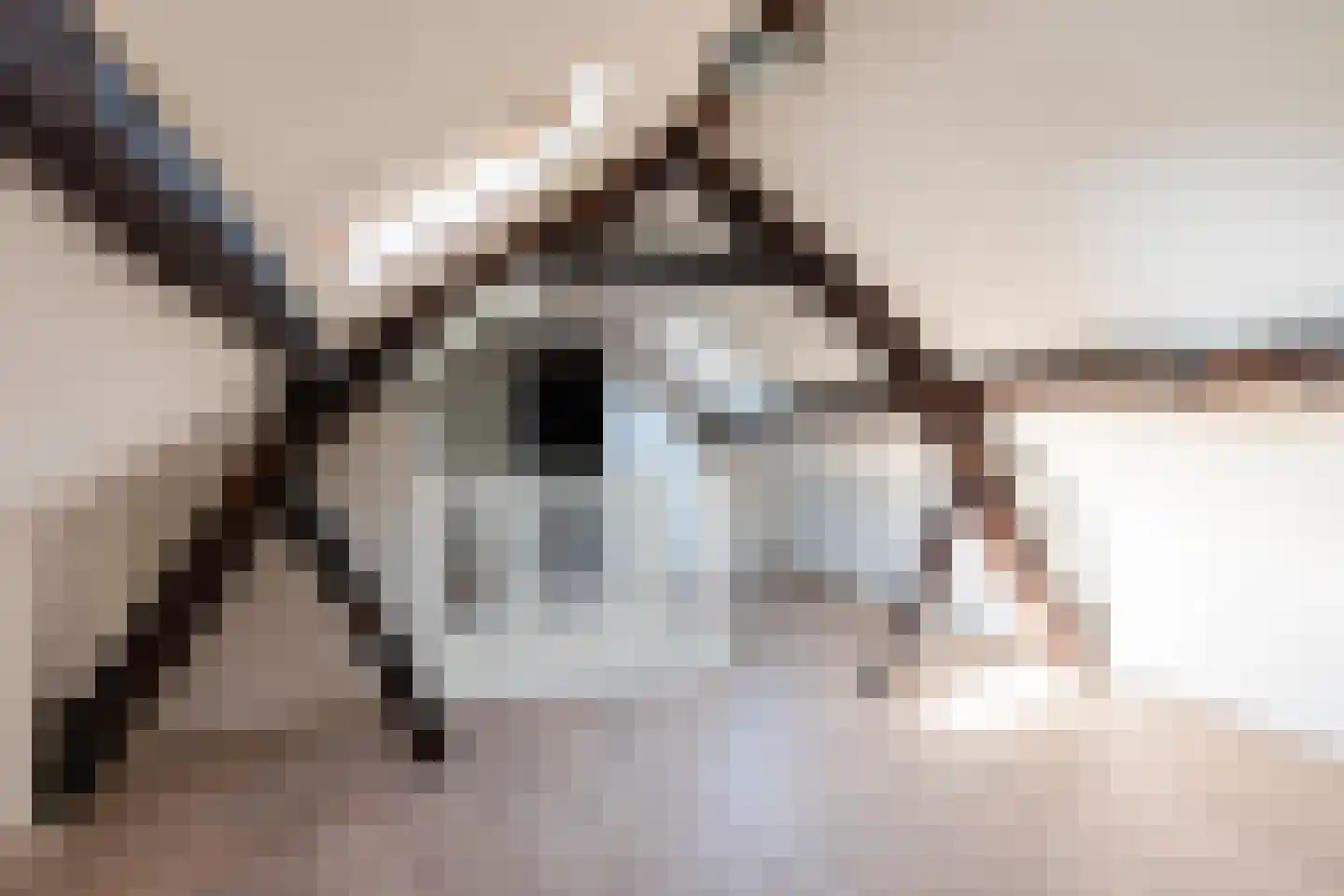 Pleistraat 14 Simpelveld thumbnail 19