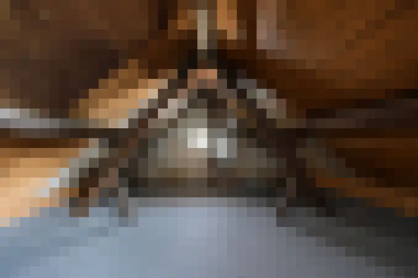 Pleistraat 14 Simpelveld thumbnail 20