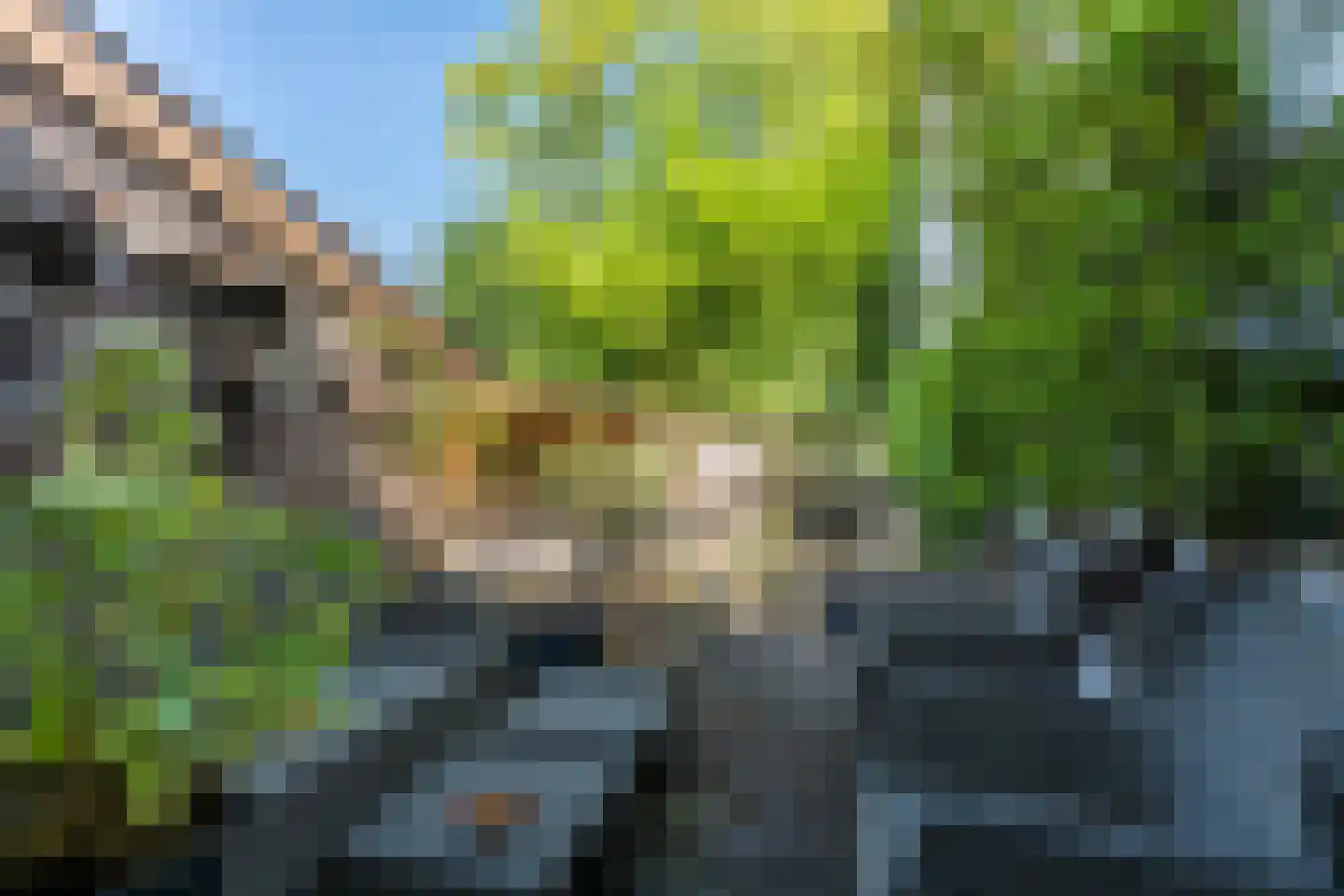Pleistraat 14 Simpelveld thumbnail 21