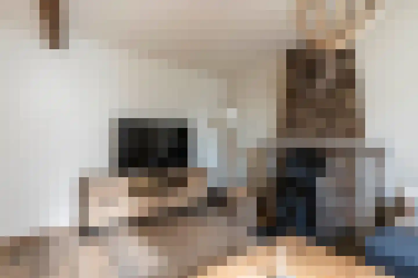 Pleistraat 14 Simpelveld thumbnail 6