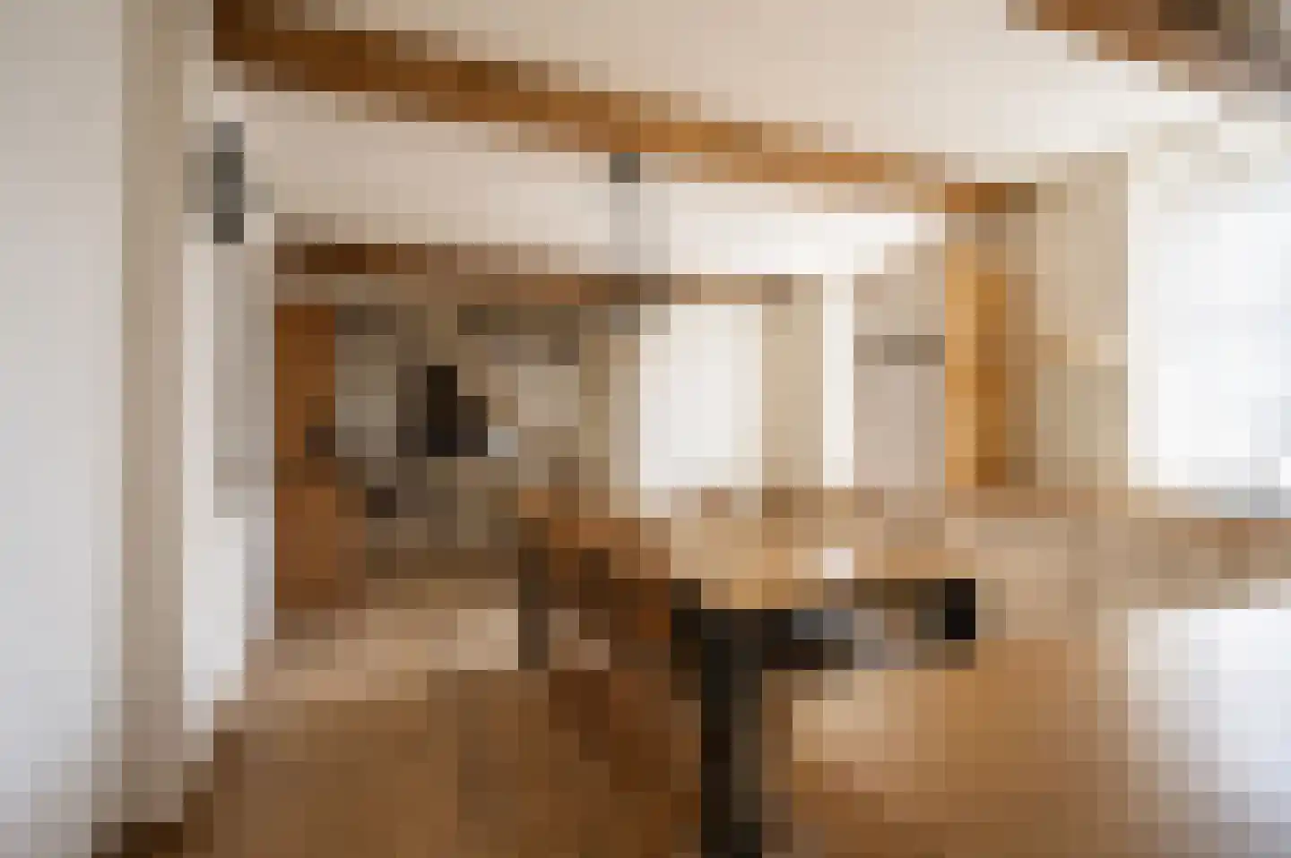 Pleistraat 14 Simpelveld thumbnail 8