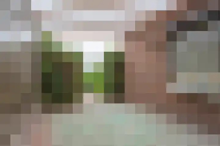 Pleistraat 16 Landgraaf thumbnail 17
