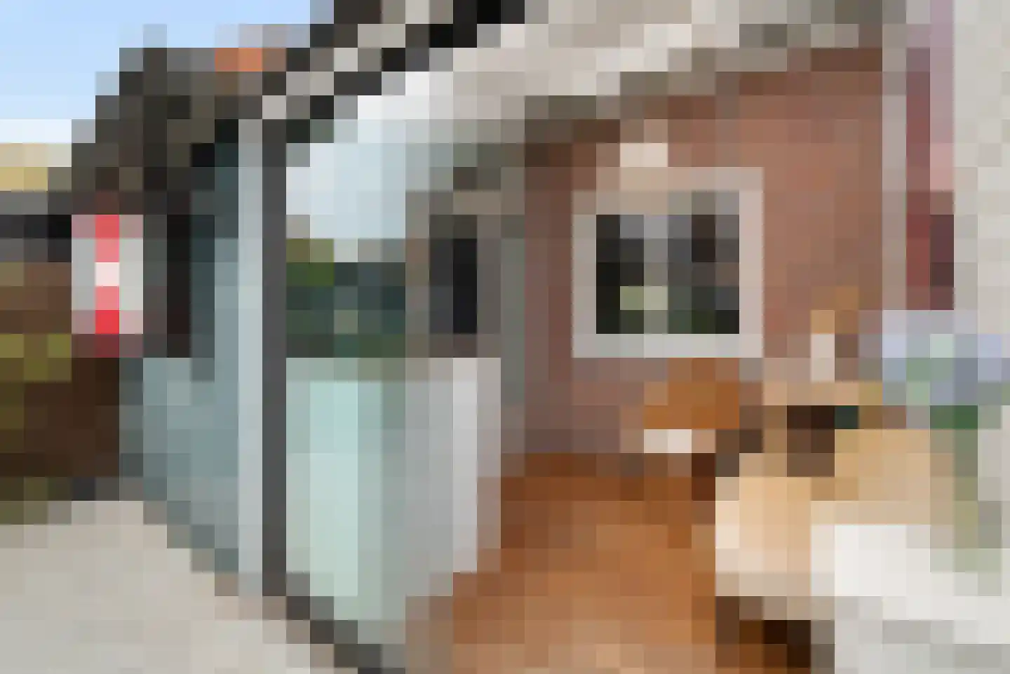 Plejadenplein 12 Amsterdam thumbnail 16